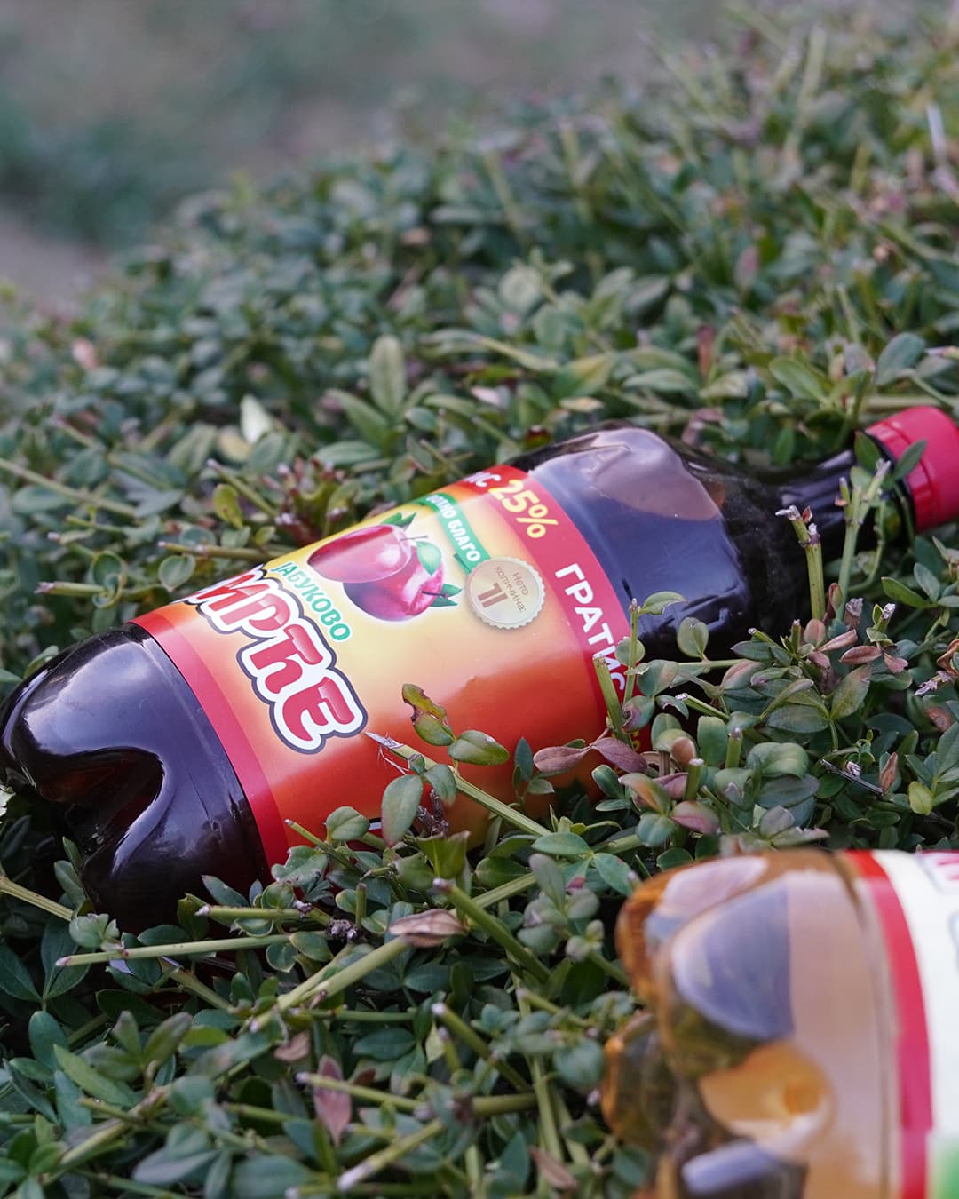 Jabukovo Sirće 6x1l - Slika 3